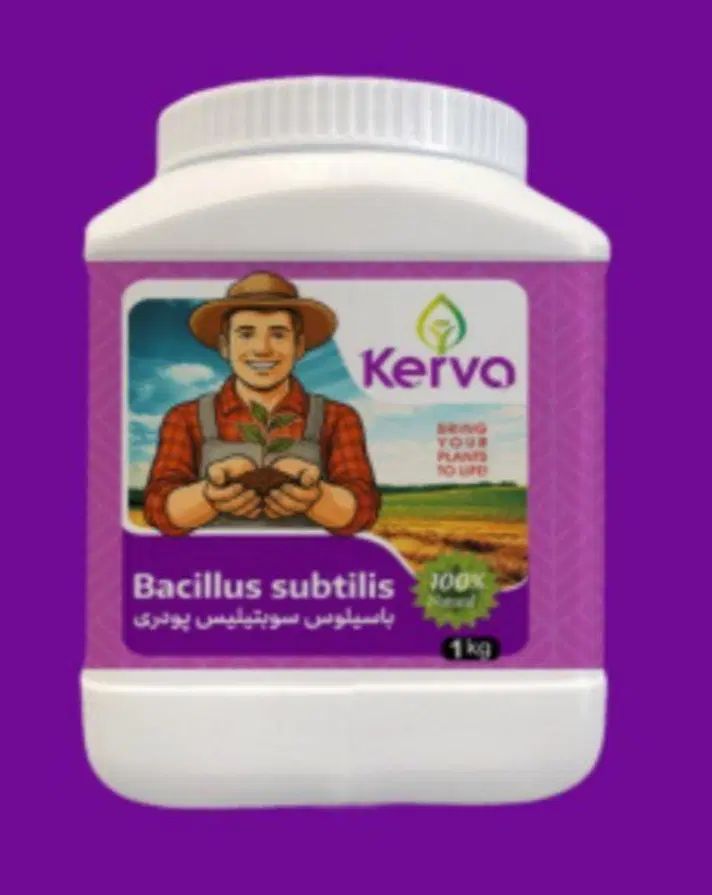 کود زیستی باسیلوس سوبتیلیس پودری کروا و .... در قائمشهر