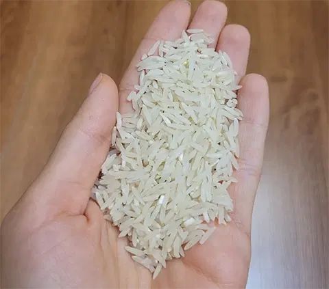 نیم دانه هاشمی