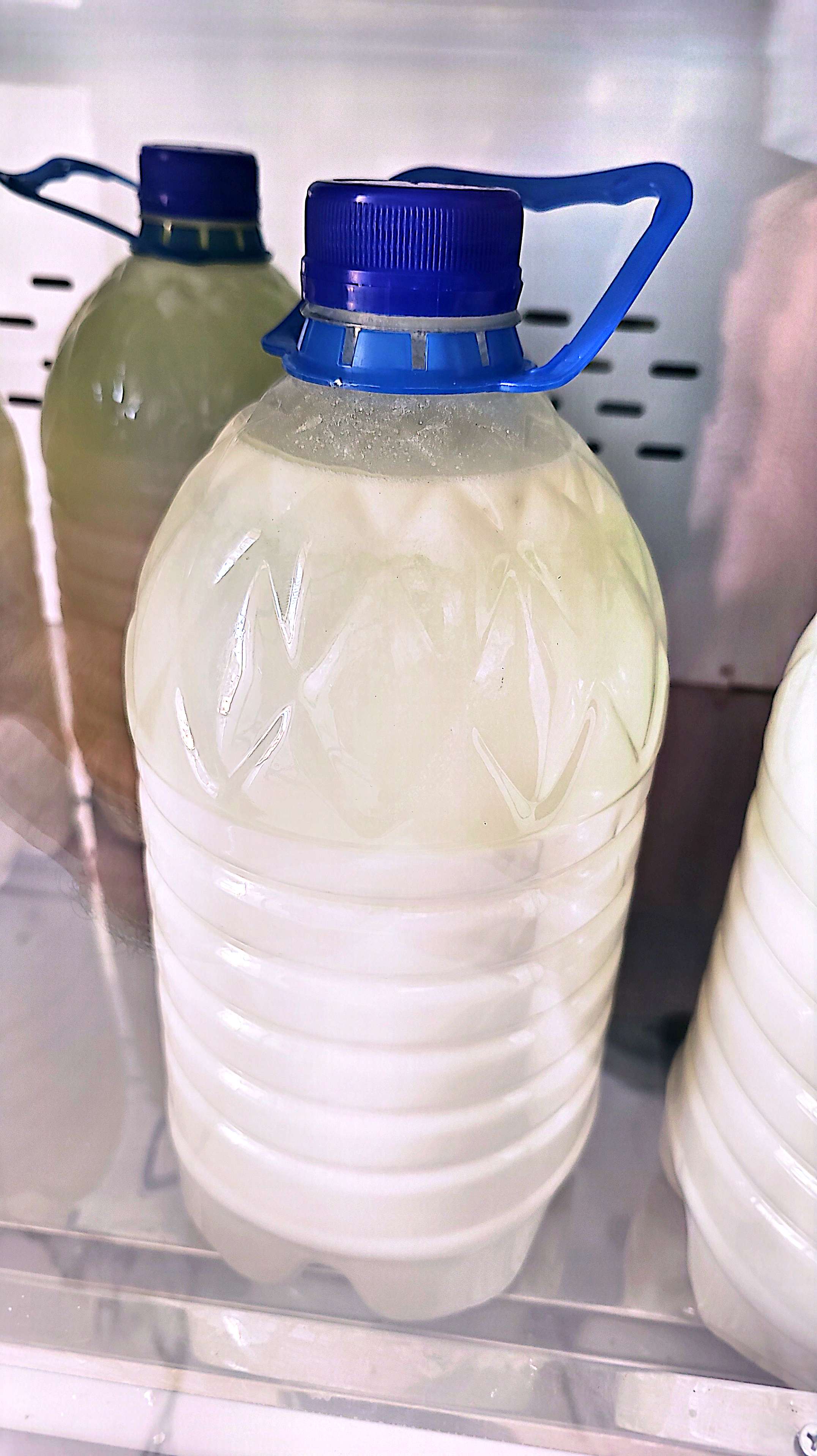 دوغ گاوی و گوسفندی