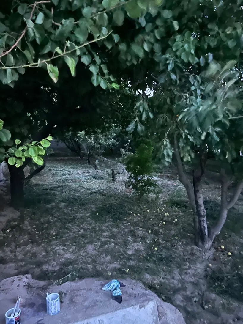 مرکز باغ ویلا