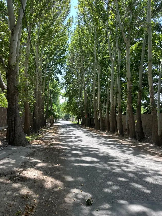 مرکز باغ ویلا