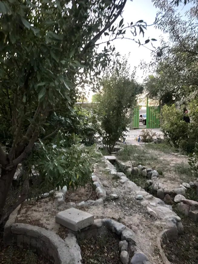 ۲۵۰ متر جنگلی در مهدشت