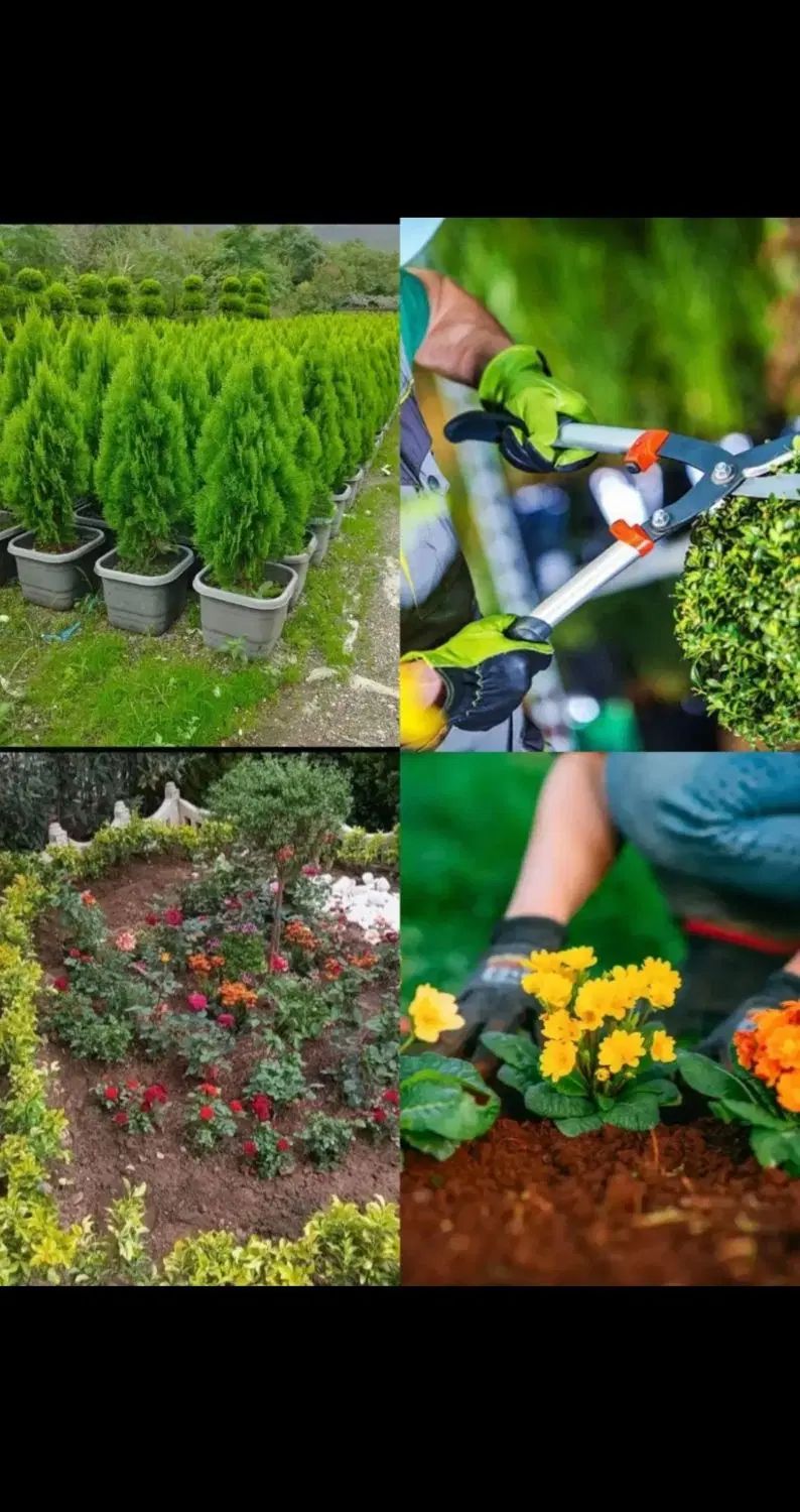 خدمات باغبانی هرس، پاکن، کاشت گل، سمپاشی، کوددهی