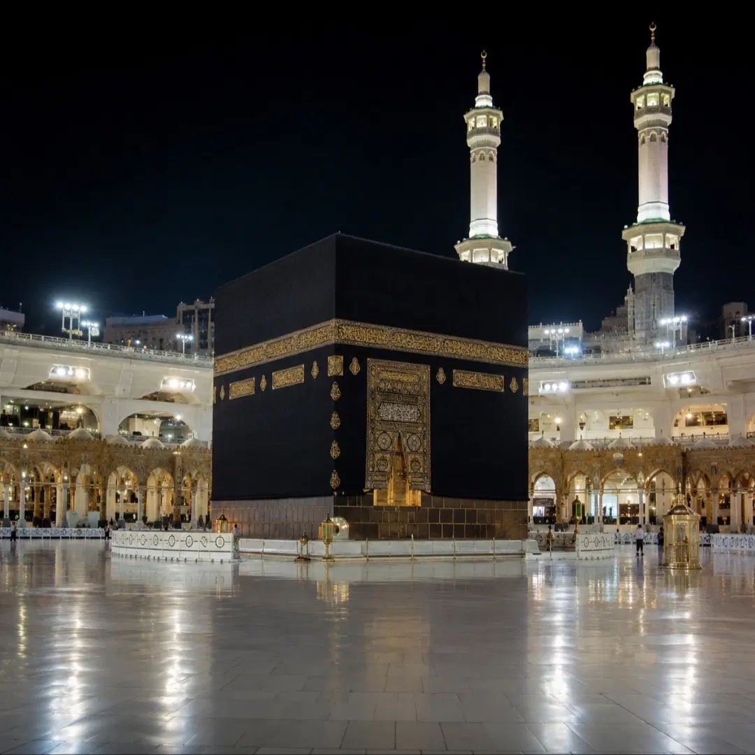 فیش/ فروش
