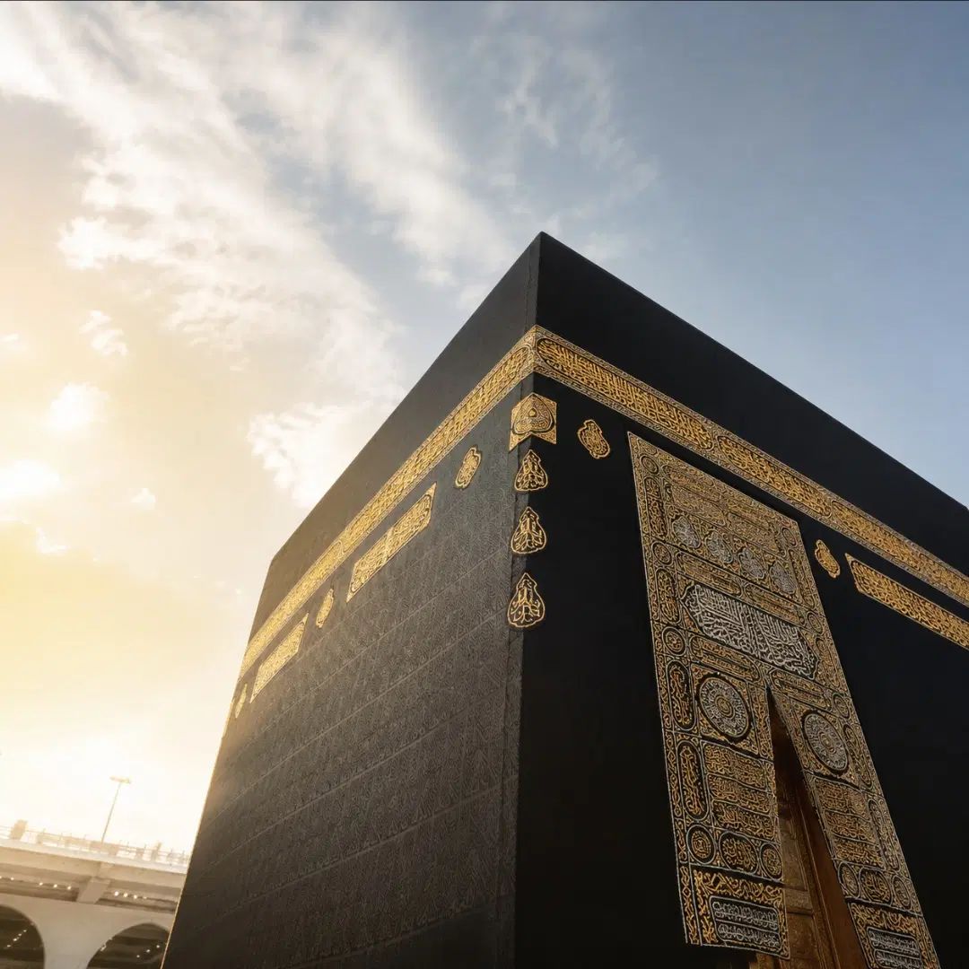 خرید و ف فیش