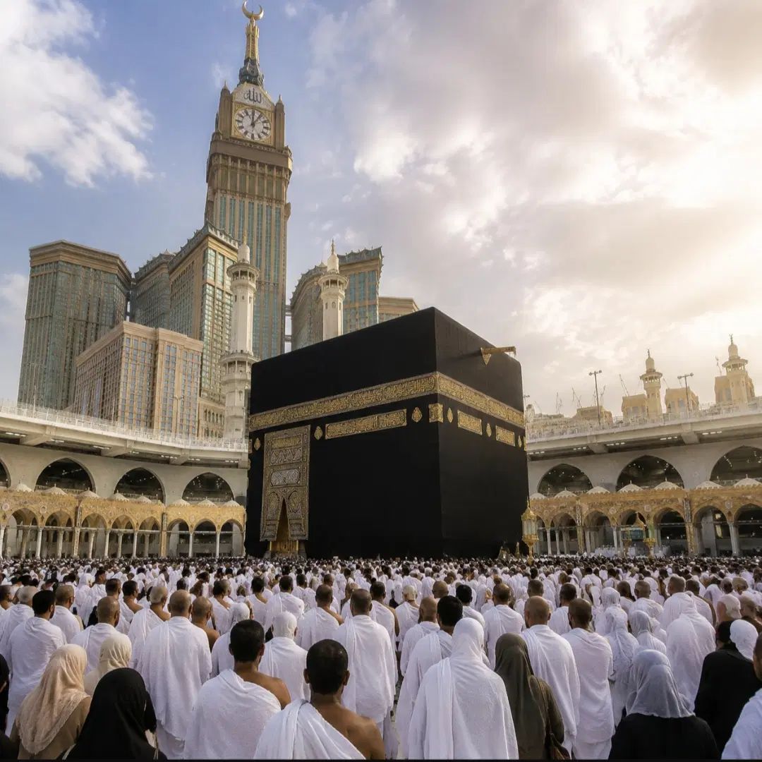 بزرگترین مرکز فیش
