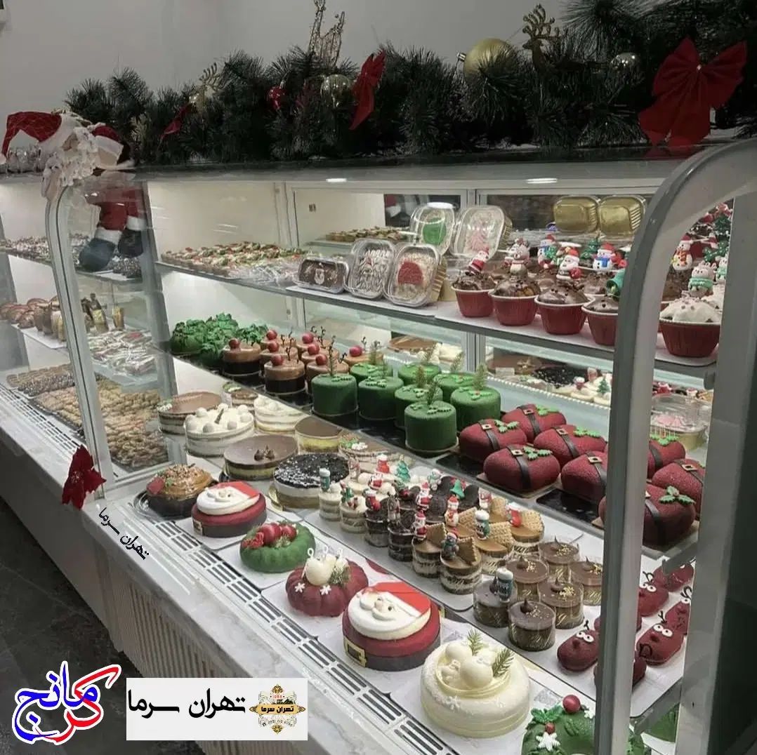 تولید یخچال دکوراتور Decorator