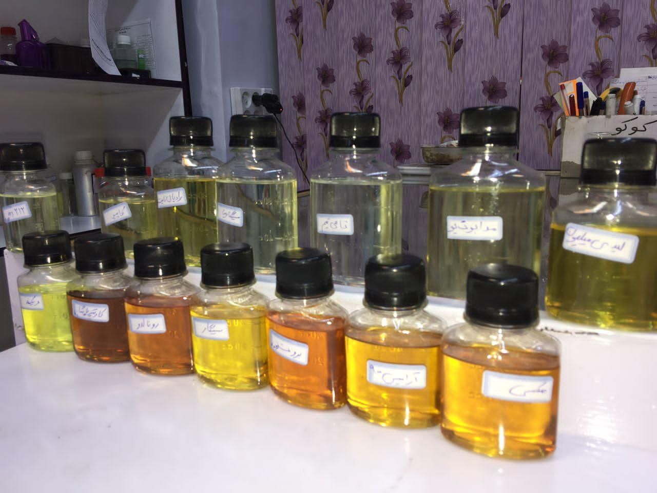 عمده عطر آمور آمور / روغنی اسپانیا در بندر گناوه