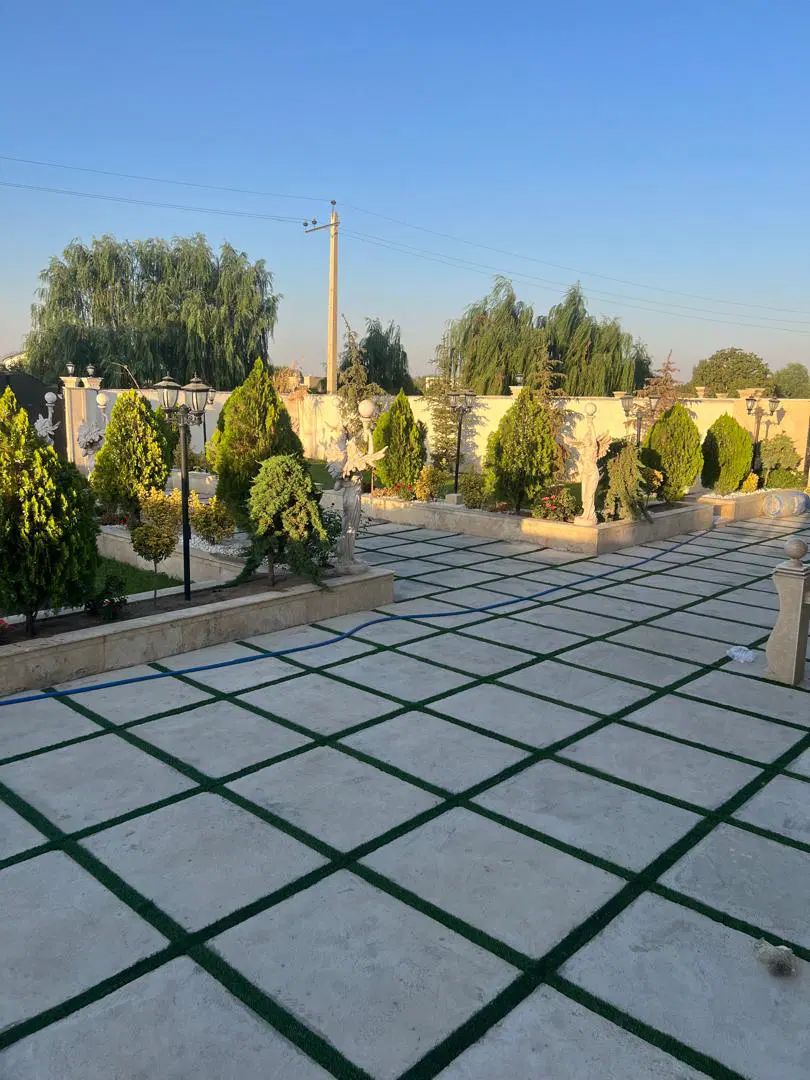 هلدینگ معاملاتی دامون