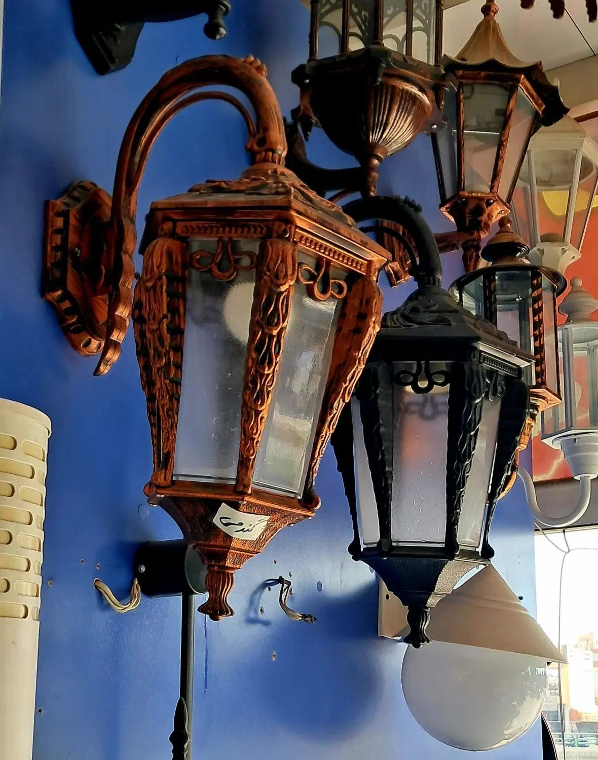 دیواری/سلطنتی/