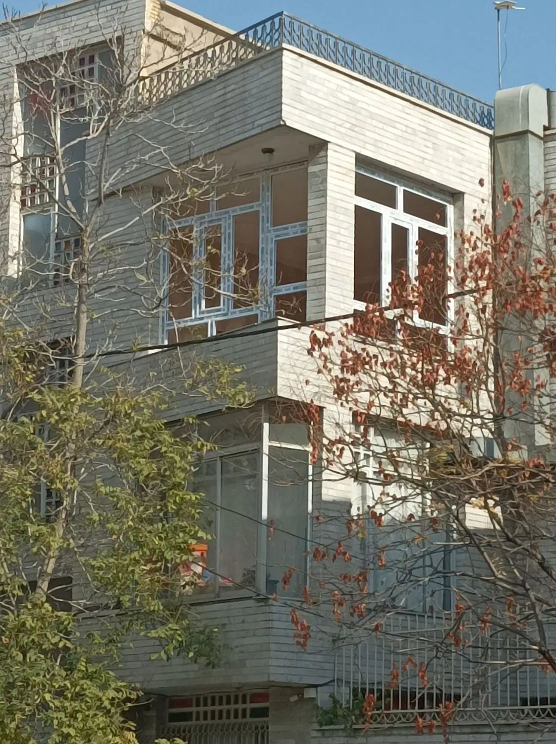 کارگاه رضا