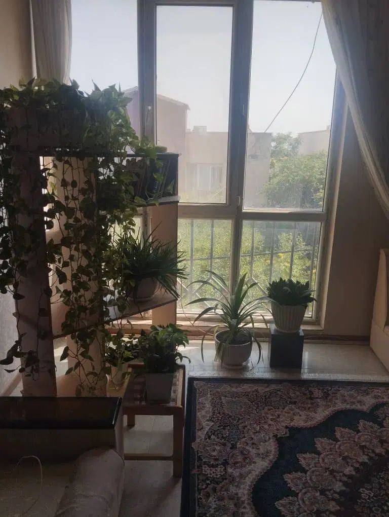 املاک کاریز