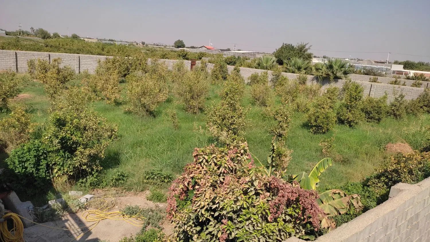 املاک مازیار