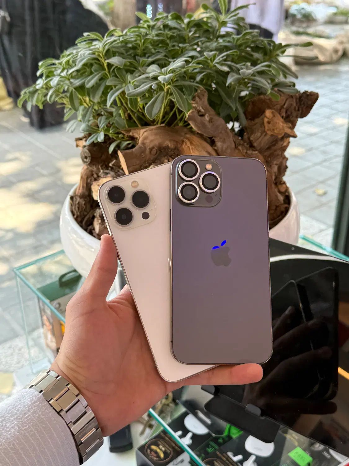 iphone 13pro max