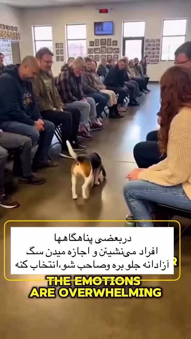 نمونه کار