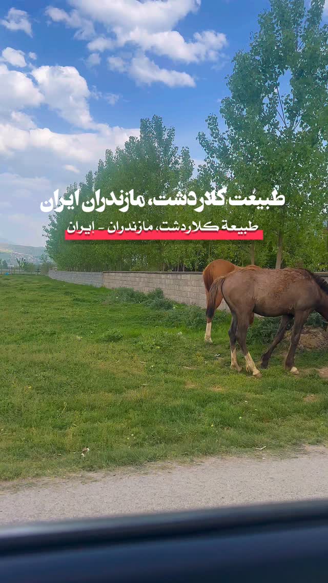 📍 العربی: