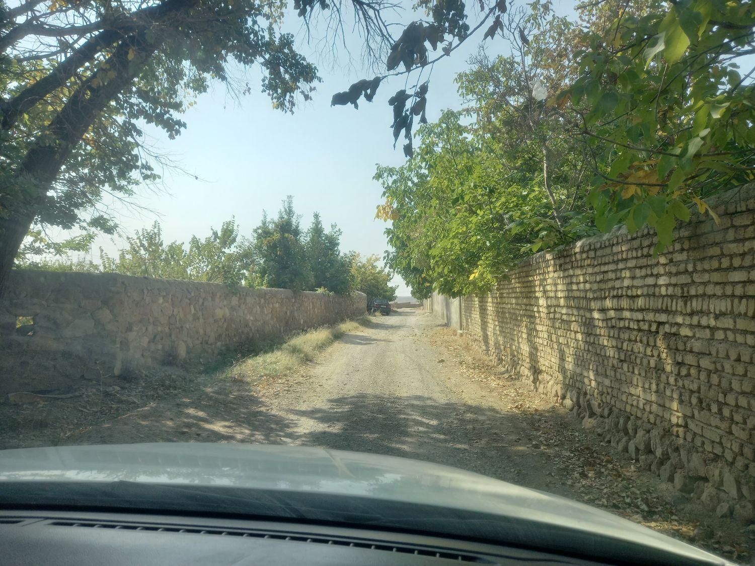 گروه مشاورین کیا
