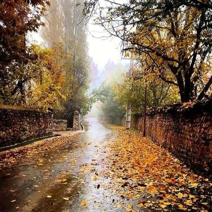 گروه مشاورین کیا