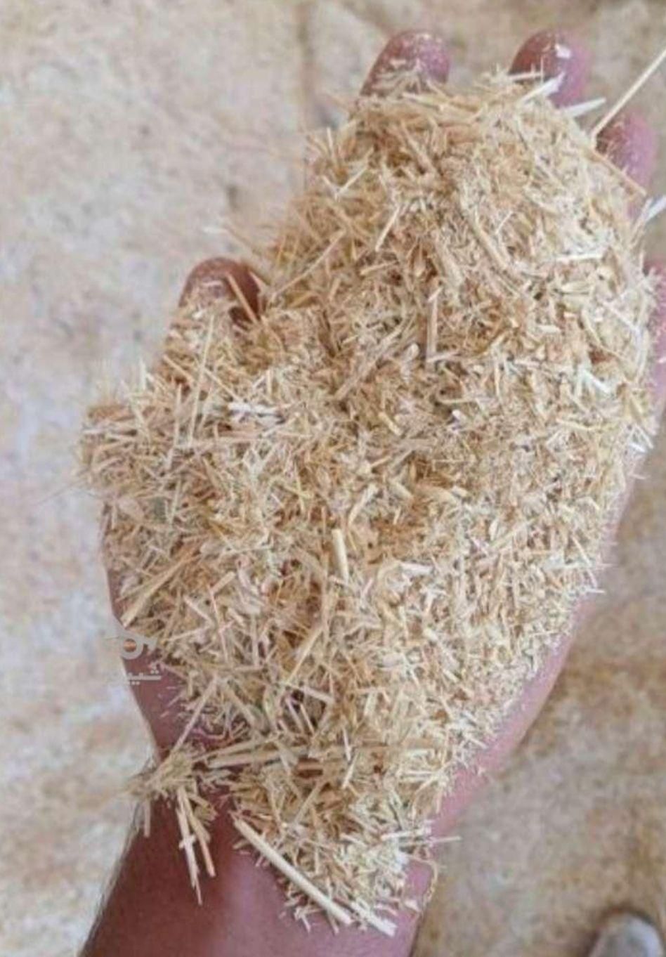 فروش کاه گندم