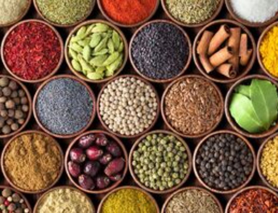 انواع تخم سبزیجات و ادویه جات