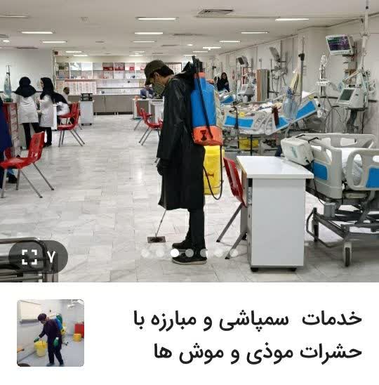 خدمات سمپاشی