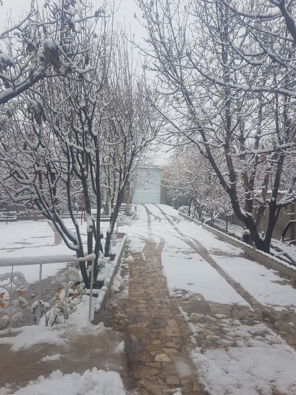 املاک