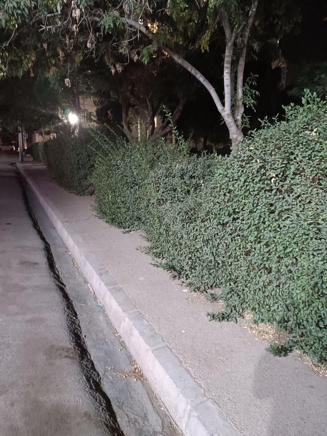 اجاره آپارتمان ۱۴۰ متری ۲ خوابه همکف درستاری