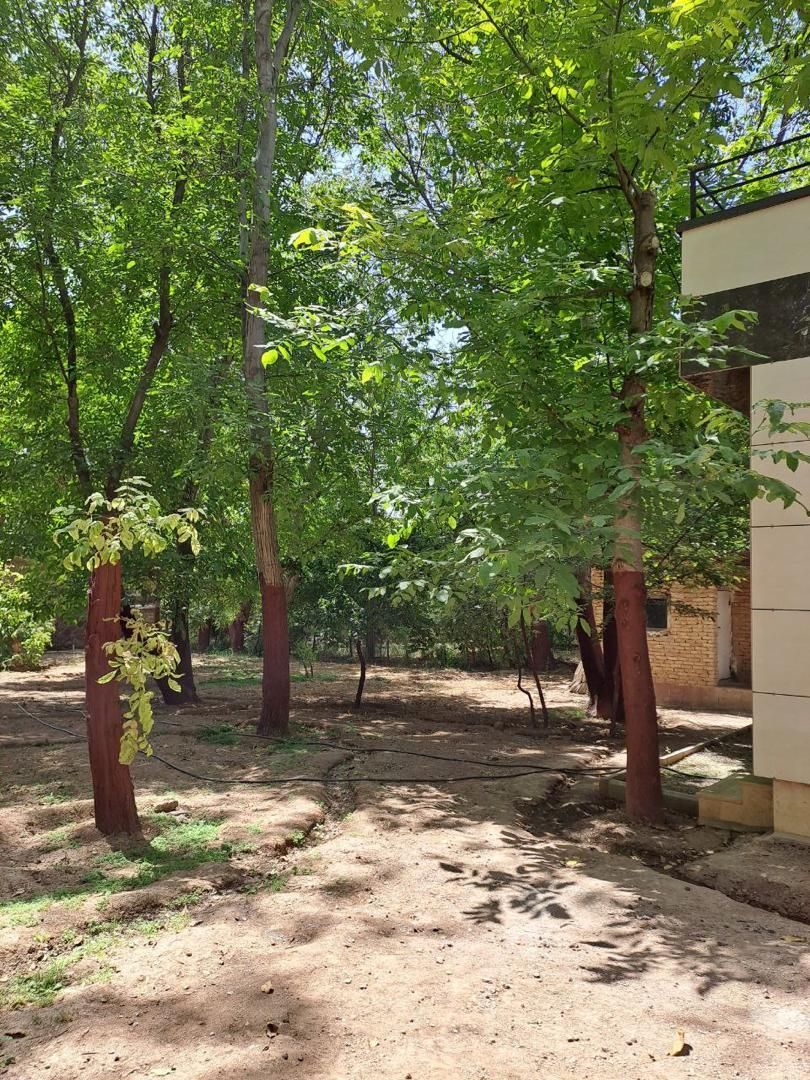 ۱۰۰۰متر باغچه در مرکز شهر