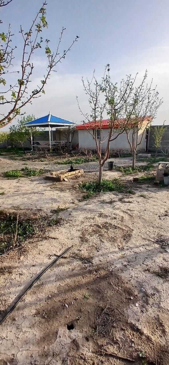 فروش باغ ویلا در شاهنامه ۶۳