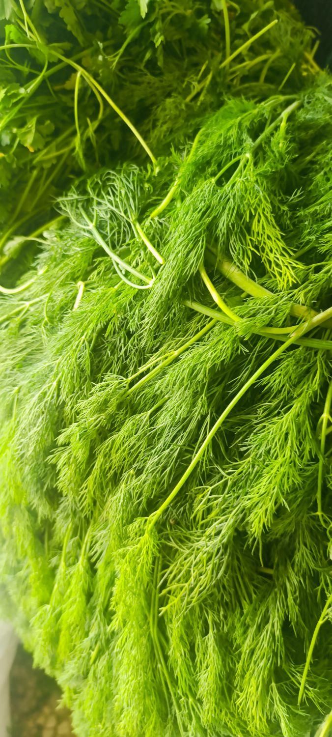 سبزی خورشی و آشی وکوکویی خاش