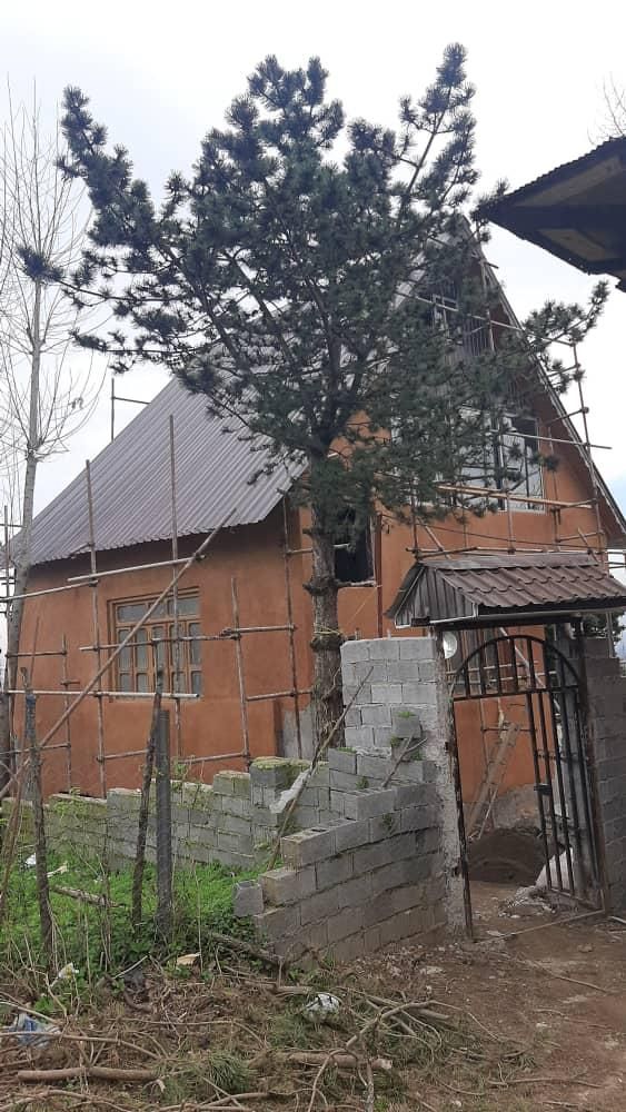 کاهگل قابل شستشو با فناوری نانو