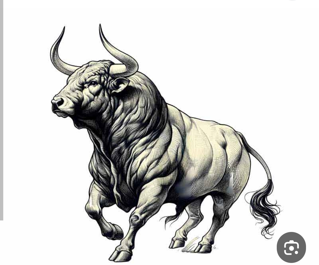 پخش عمده لبنیات سنتی ساغارانتی