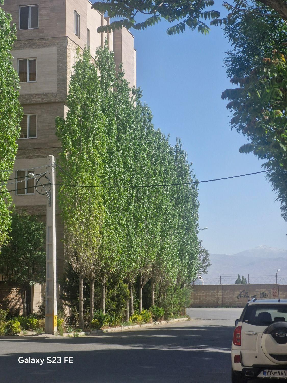 املاک کیان