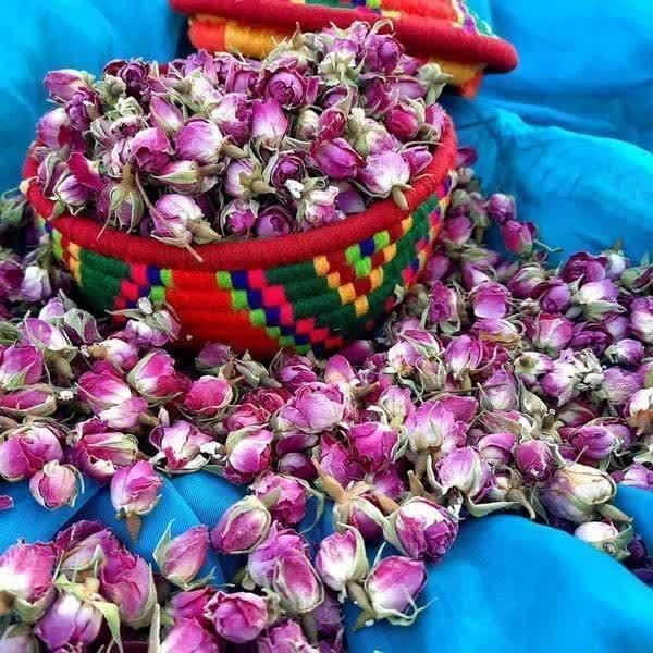 گلابگیری کاشان