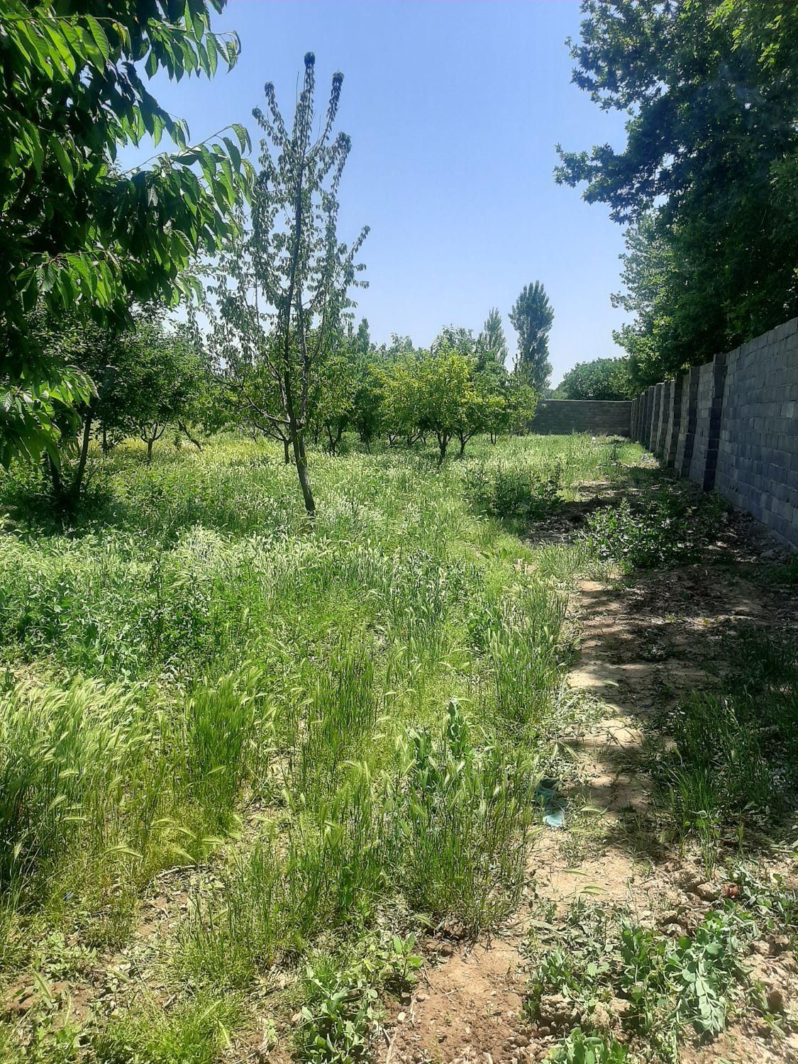 املاک مهرویلا
