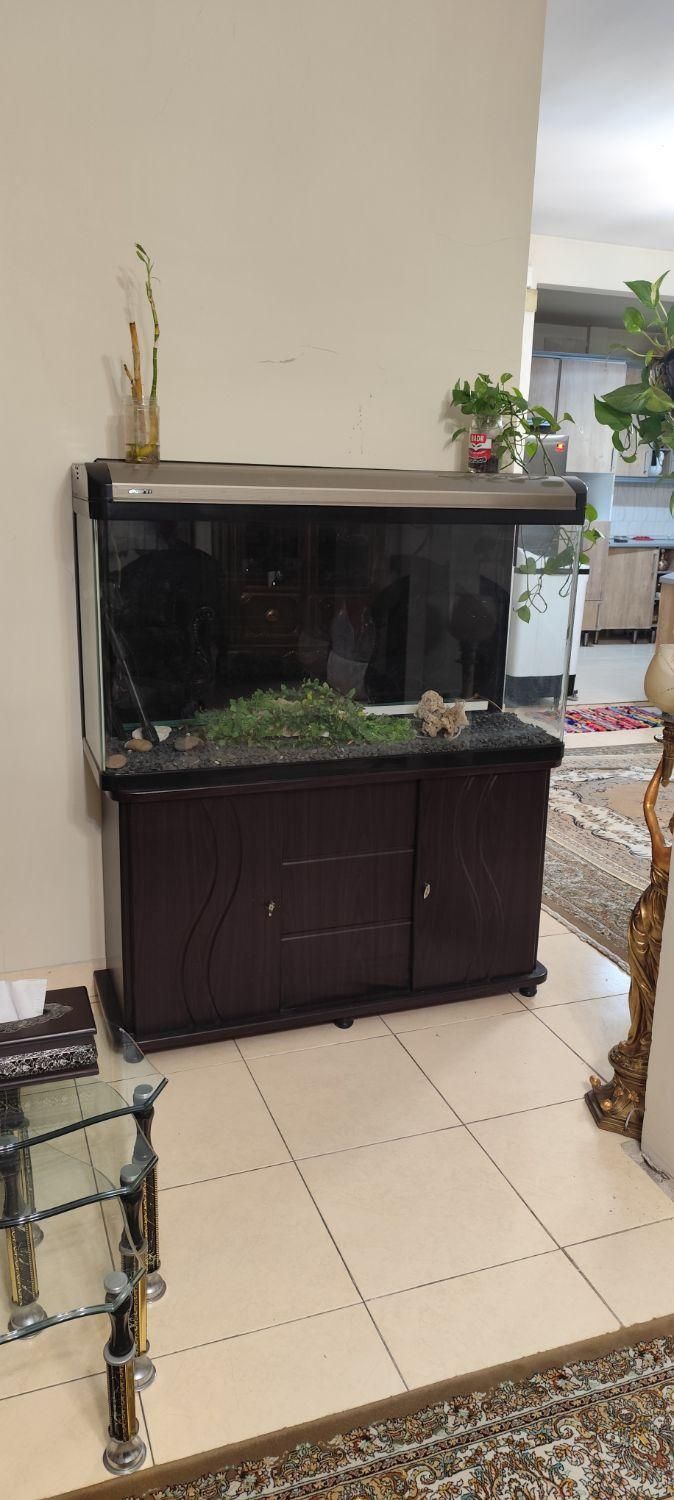 اکواریوم برند وارداتی شیشه خم