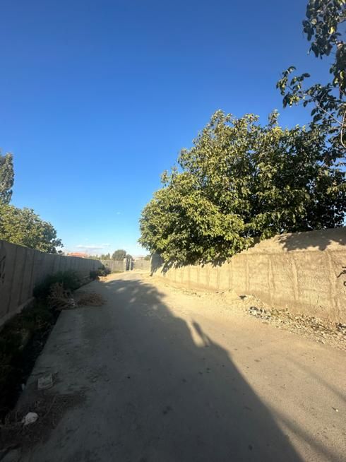 املاک ایران زمین