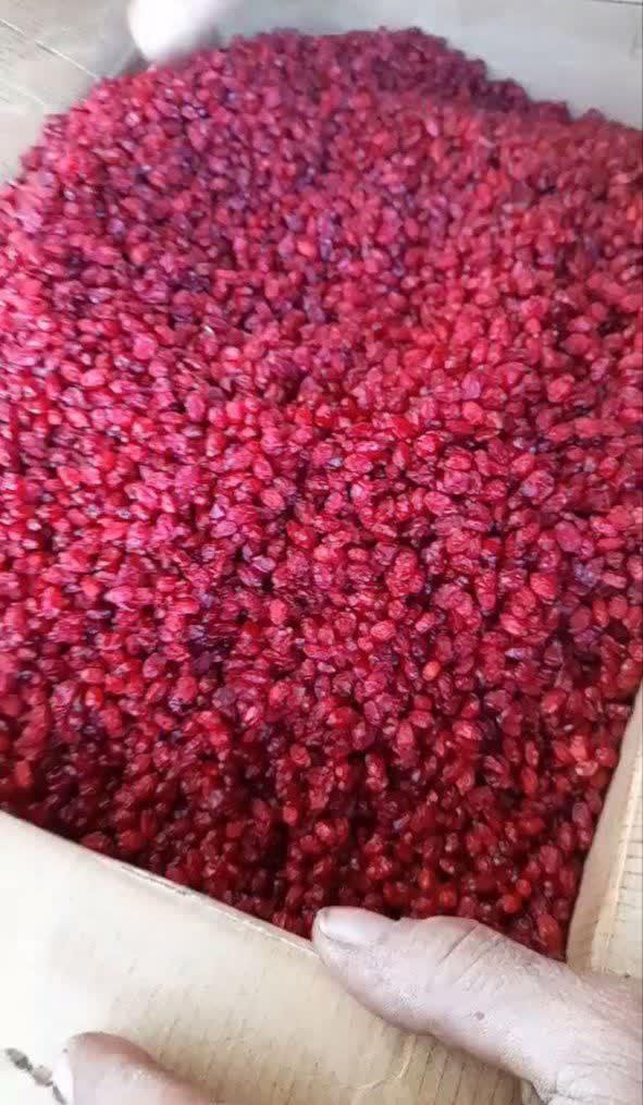 زرشک پفکی