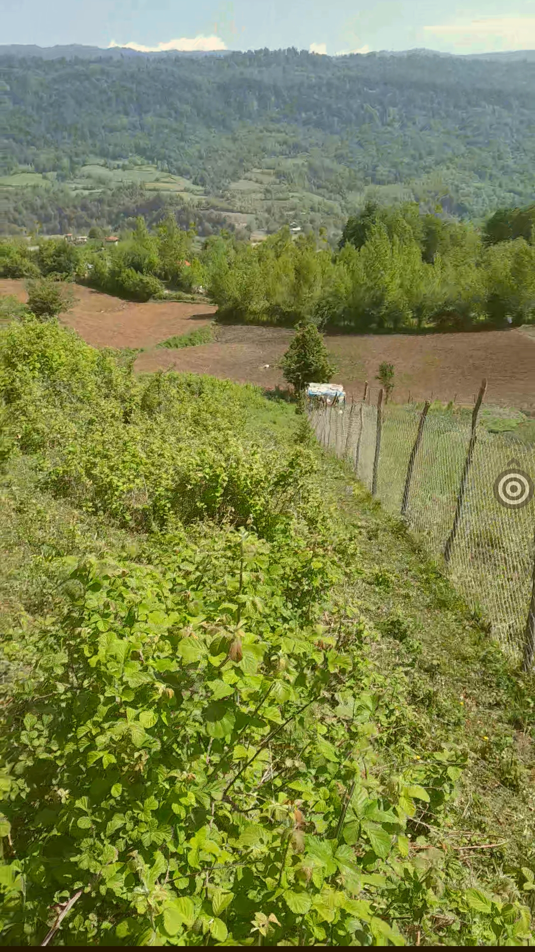 باغ کریمی در روستای سقندینکلا