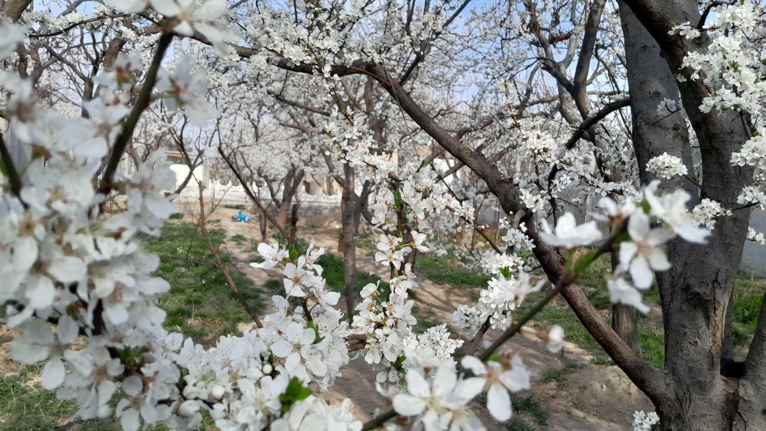 فروش خانه ویلایی ۷۰ متری ۱ خوابه در اکباتان