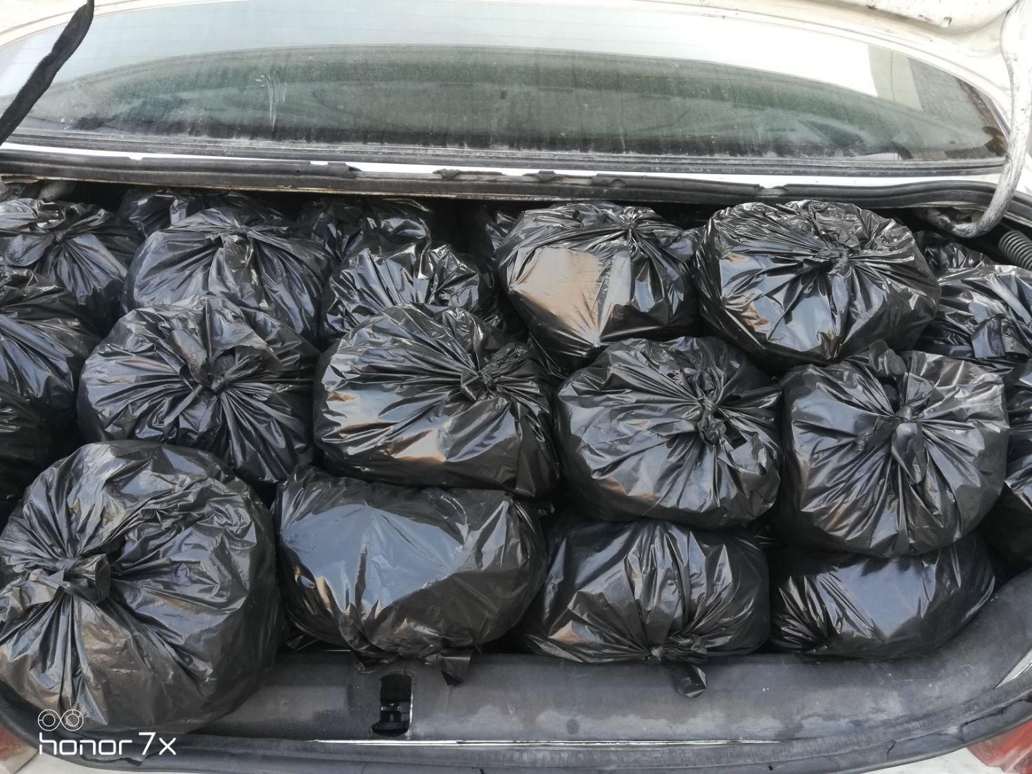 بلوط