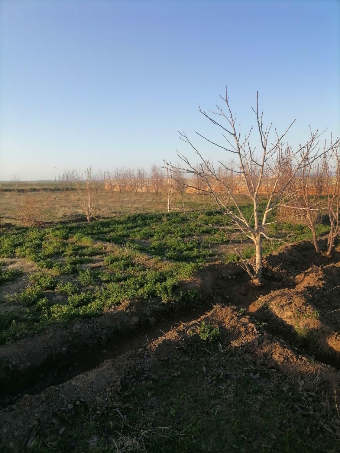 مشاور املاک. عطایی