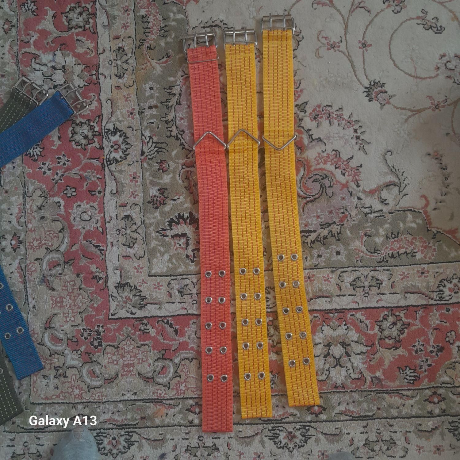 قلاده‌های باکیفیت برای سگ‌ها