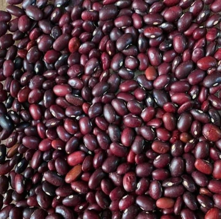 کاردر منزل بسته بندی حبوبات کرمانشاه و حومه