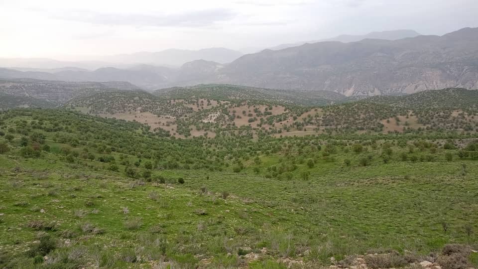 فروشگاه موژان