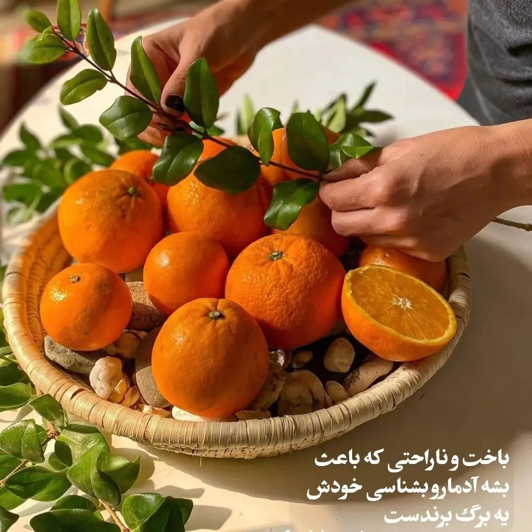 سورتینگ مرکبات حمید فرهادیان