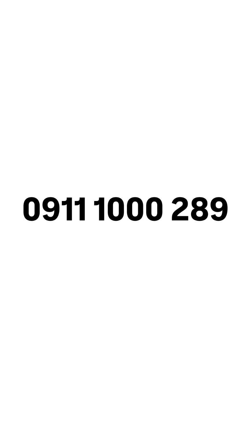 0911.1000.289