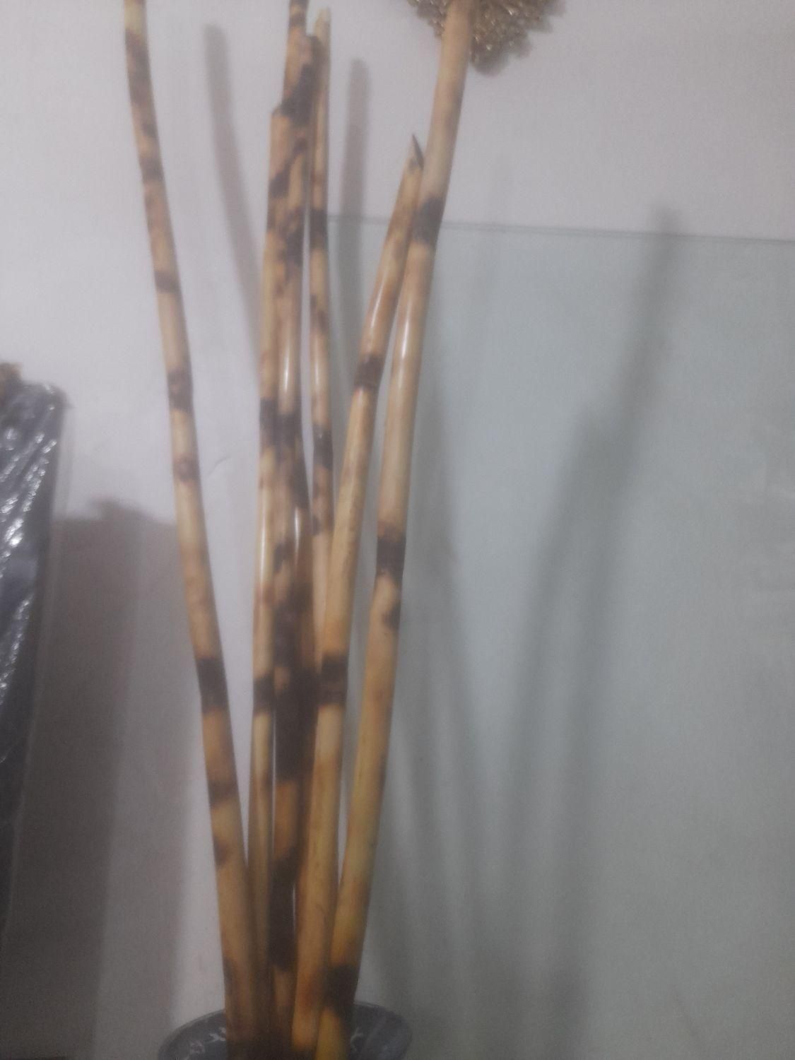 ۱۲عدد چوب بامبو قد ۱۹۰ در قطر ۹