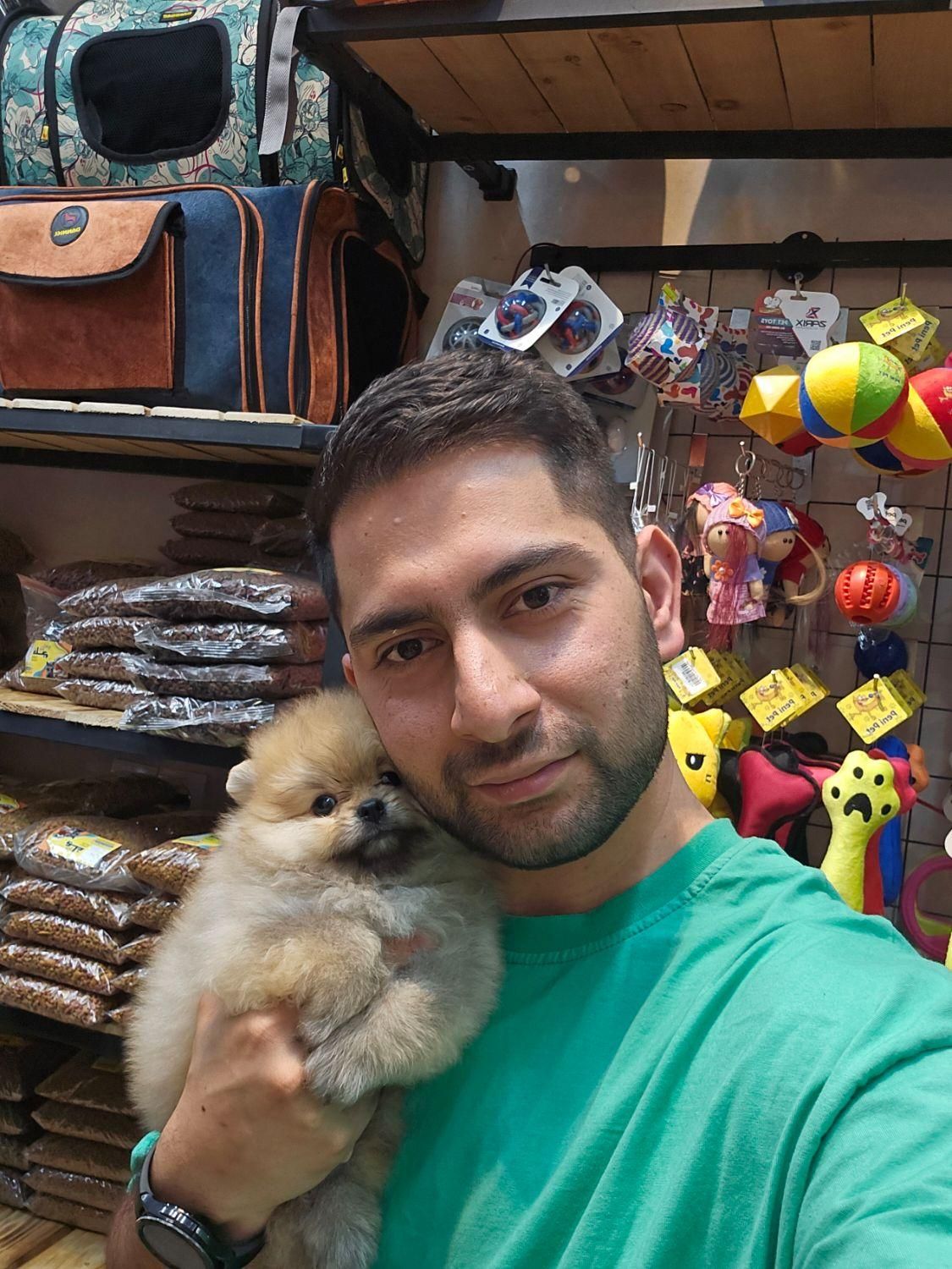 سگ پامرانین شیطون و مهربون