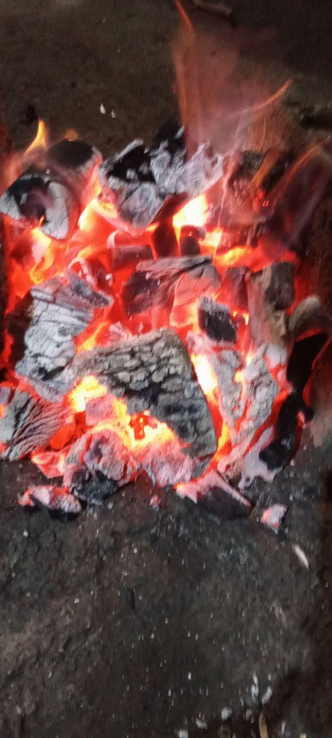 ذغال درجه یک